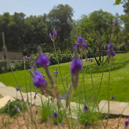 Isolotto A 150 M Dal Mare Σπίτι διακοπών Santa Maria Navarrese