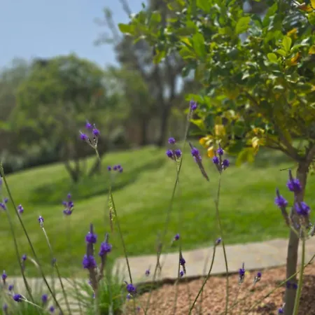 Isolotto A 150 M Dal Mare *